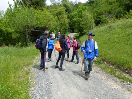 Alta Val Vona