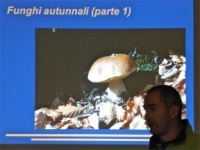 Funghi autunnali (prima parte)