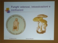 Funghi velenosi