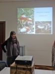 Amanitaceae e Pluteaceae