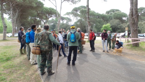 Parco di Migliarino - San Rossore