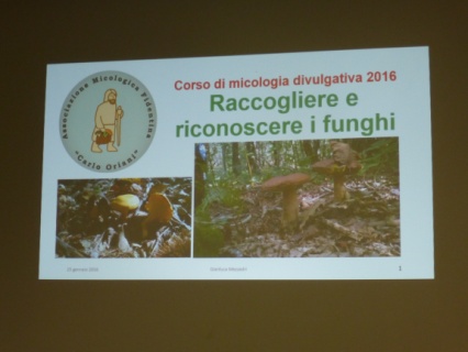 Le serate micologiche