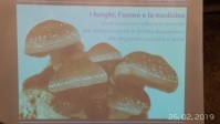 Serata con il micologo Nicolò Oppicelli