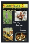 Funghi, Passione e Natura