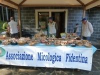 Mostra Micologica a Lagdei