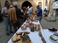 Mostra Micologica a Fidenza