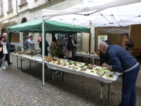 Mostra Micologica a Borgo Val di Taro