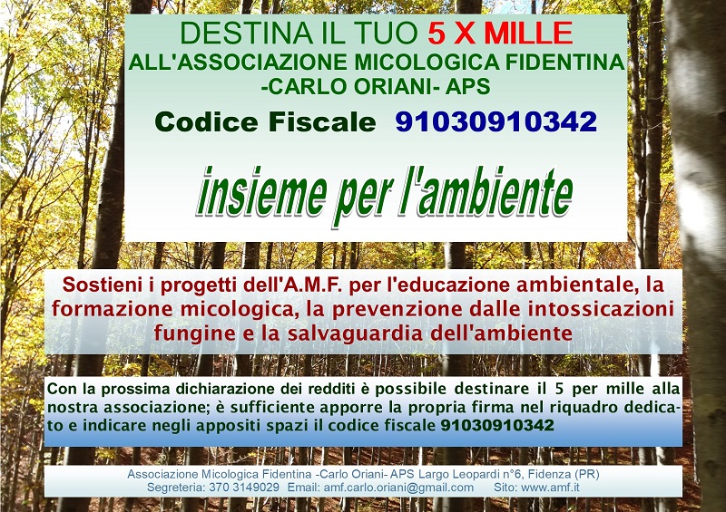 locandina 5xmille 2020