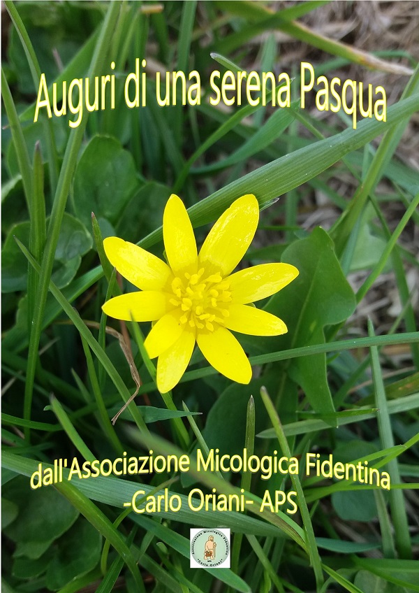 Pasqua 2021