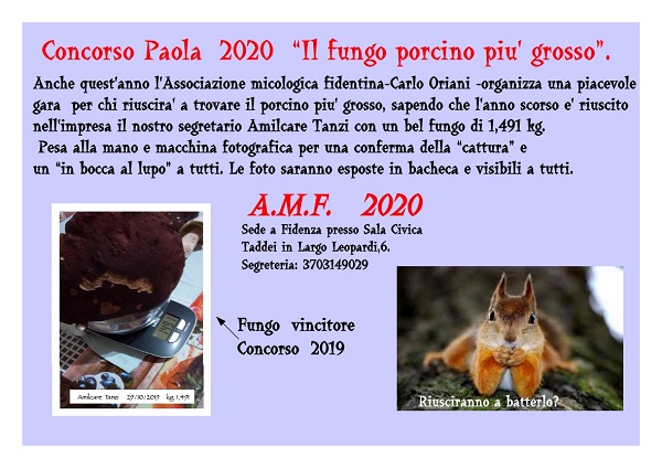 locandina 2020