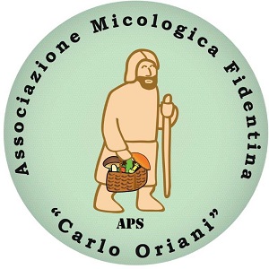 Associazione Micologica Fidentina Carlo Oriani