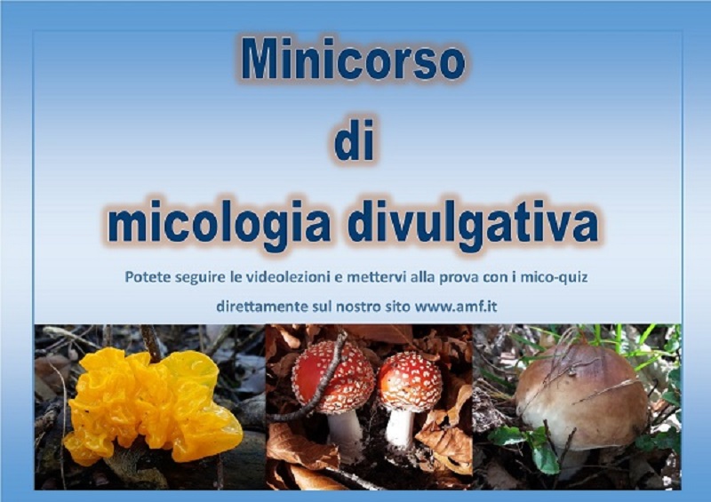 locandina minicorso