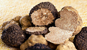 Tartufo